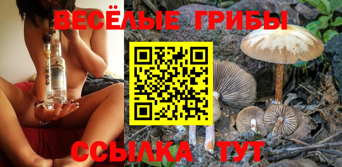 Галлюциногенные грибы Cubensis Юрга