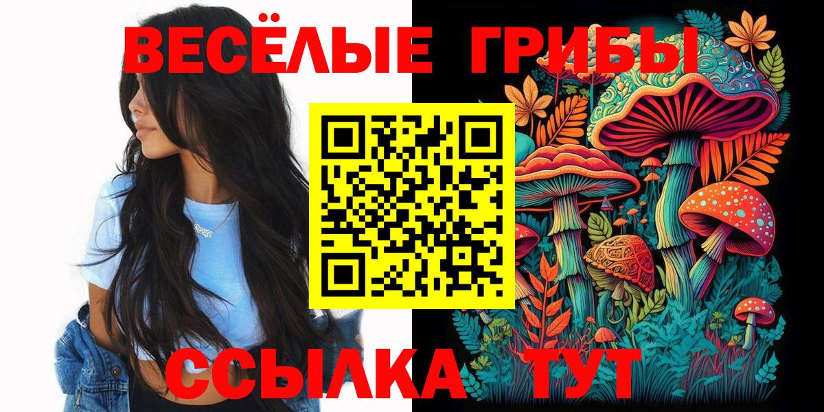 Юрга  где купить наркоту  Вход с VPN  Галлюциногенные грибы Psilocybe 